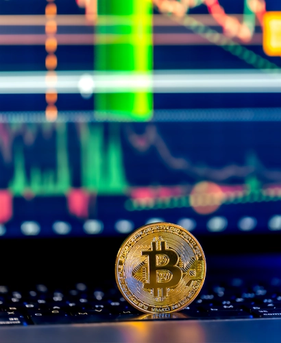 Bharat Vaultix Trading Informationen